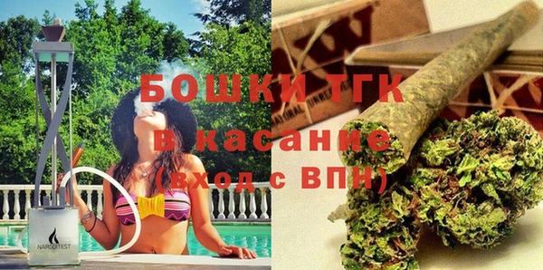 прущие грибы Алзамай