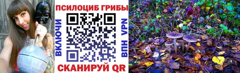 Галлюциногенные грибы GOLDEN TEACHER  где продают наркотики  Мураши 