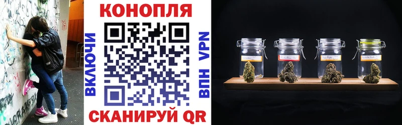 Марихуана семена  где можно купить наркотик  Мураши 